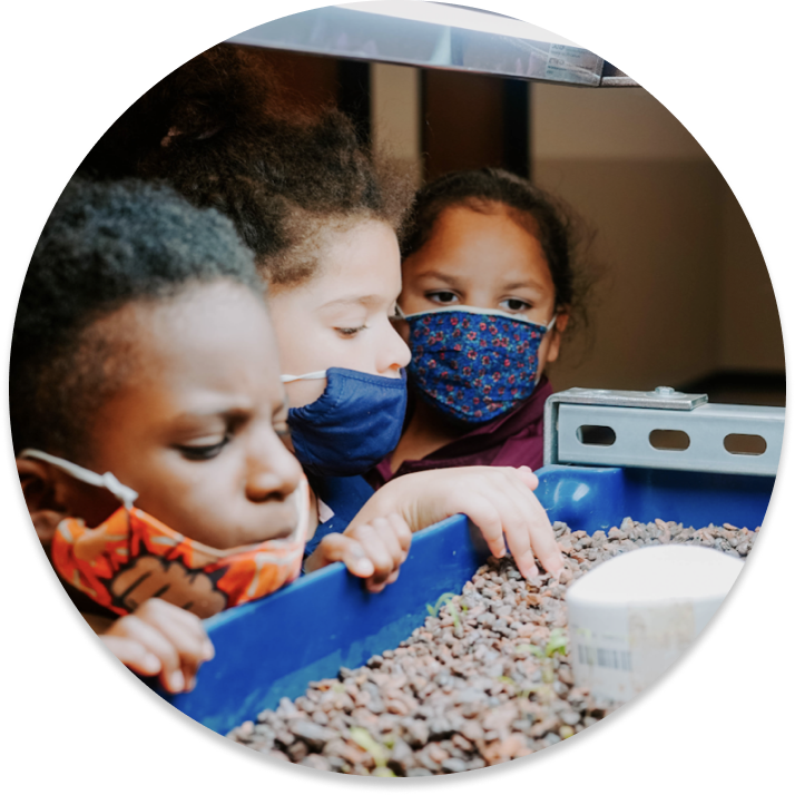 Three children looking into a trough of pebbles as part of a science experiment.